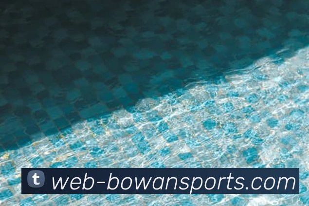 球赛投注平台生态图